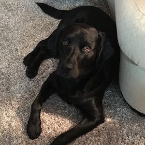 Meet your Posher, Edna